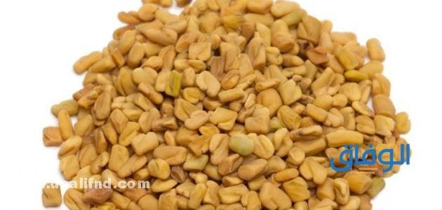 فوائد الحلبة للشعر