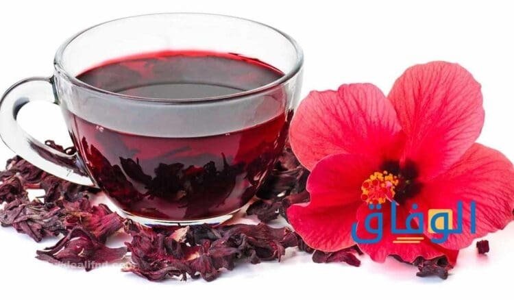فوائد الكركديه الساخن