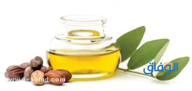 فوائد زيت الجوجوبا للبشرة والشعر لا تصدق! فوائد زيت الجوجوبا