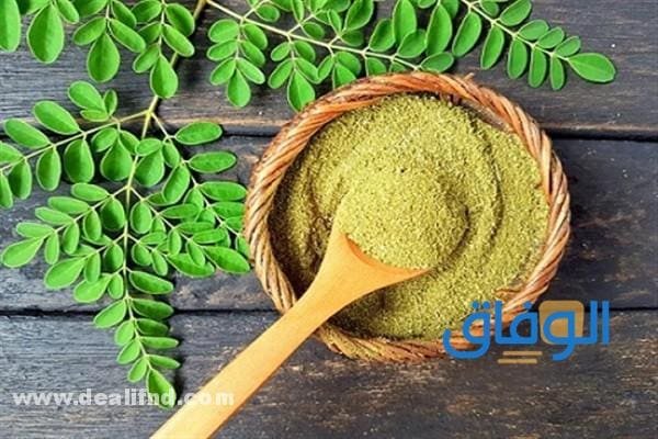 10 من أهم أضرار المورينجا لا تتوقعها