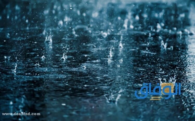 تفسير حلم المطر للعزباء