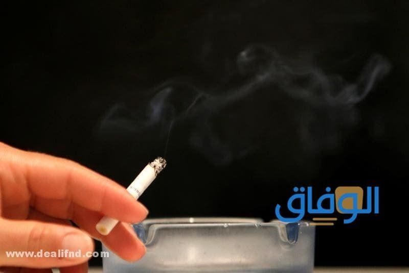 تفسير حلم شرب السجائر تفسير حلم شرب السجائر