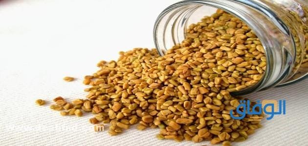 زيت الحلبه