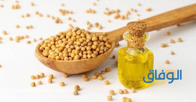 زيت خردل (الفوائد + الأضرار)