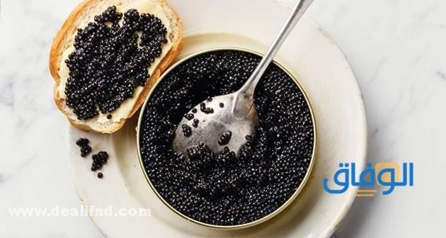 +10 فوائد الكافيار للجنس | فوائد صحية مذهلة سعر الكافيار