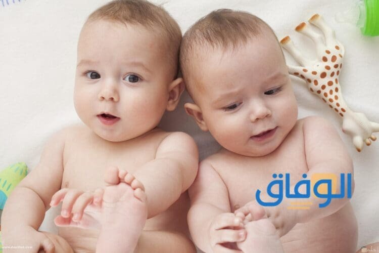تفسير حلم بنات توأم .. تفسير رؤية التوأم في المنام للمتزوجة الغير حامل تفسير حلم بنات توأم