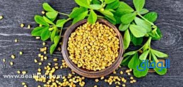 فوائد الحلبة للنساء