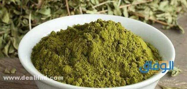 تجربتي مع السدر للشعر