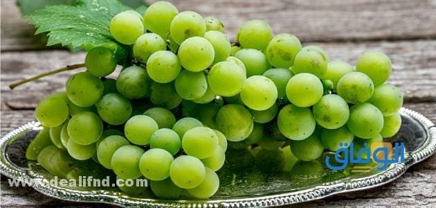 تعرف على أهم فوائد العنب الاخضر