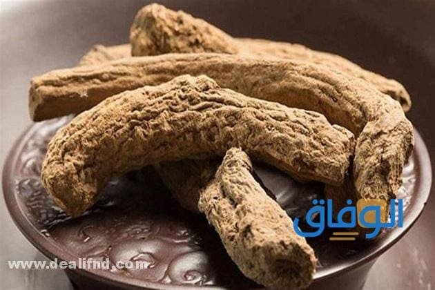 +10 فوائد القسط الهندي ستدهشك !!