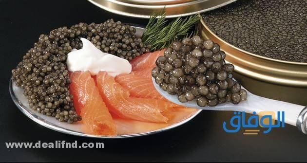 +10 فوائد الكافيار للجنس | فوائد صحية مذهلة فوائد الكافيار للاطفال