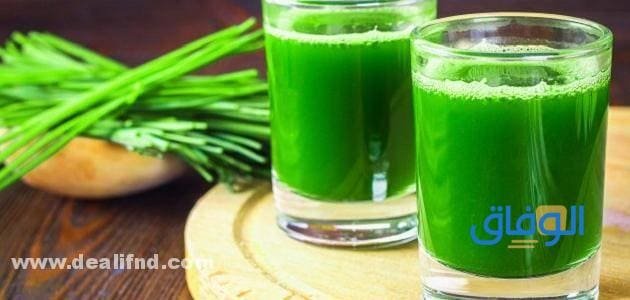 17+ فوائد الكلوروفيل Chlorophyll – على البشرة والشعر تعرف عليها