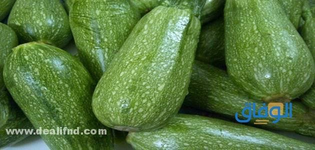 فوائد الكوسا (07 فوائد للكوسا تعرف عليها)