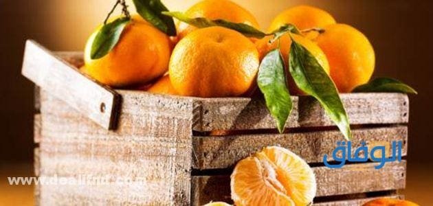 +25 فوائد اليوسفي : وخسارة الوزن