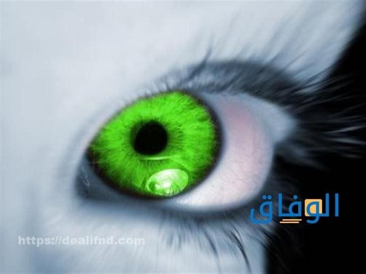 علاج العين والحسد مجرب