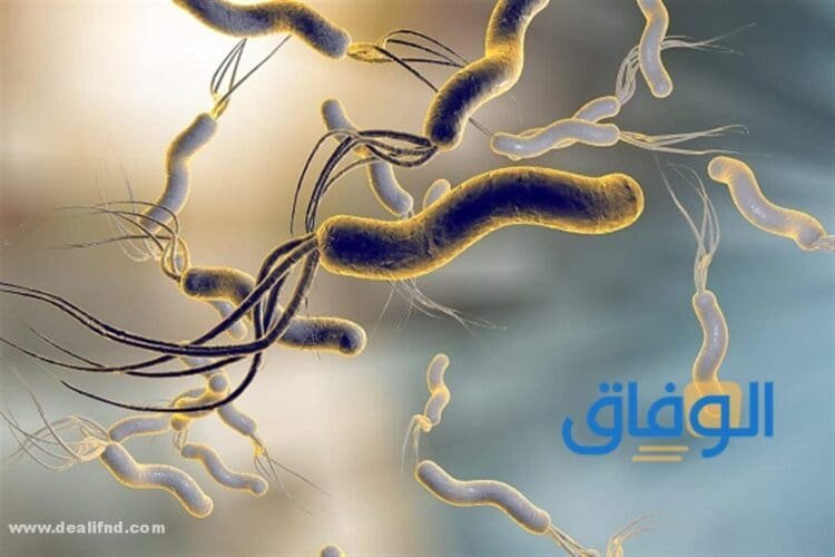 علاج جرثومة المعدة نهائيًا