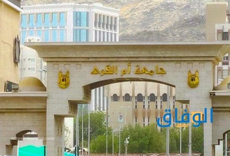 تخصصات جامعة أم القرى
