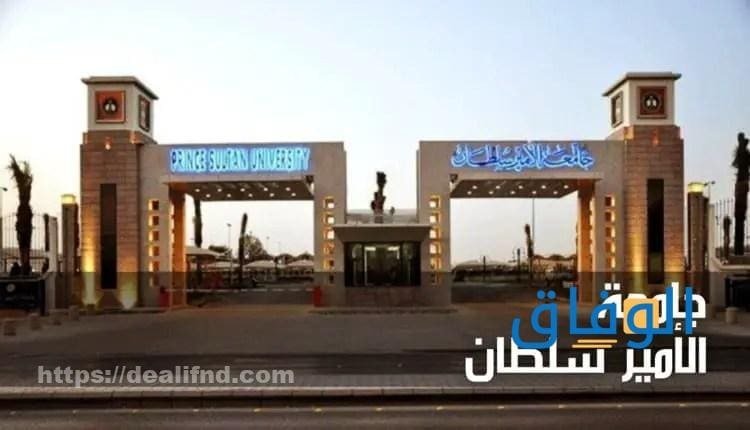 تخصصات جامعة الأمير سلطان أهم 5 أقسام في الجامعة