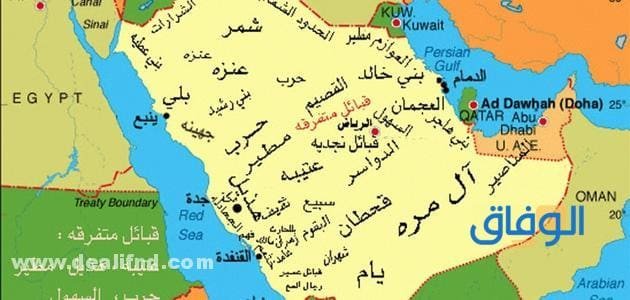 أهم و اكبر منطقة بالسعودية | من حيث المساحة