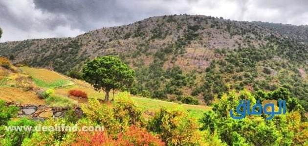 تعرف على أكثر من +10 اماكن حلوه في ابها للسياحة جديدة 2024