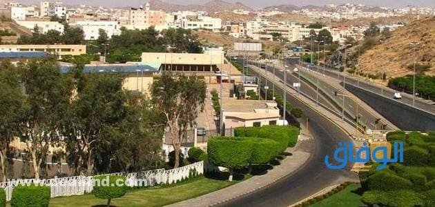 اماكن حلوه في الطائف