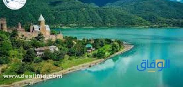 شروط السفر الى جورجيا