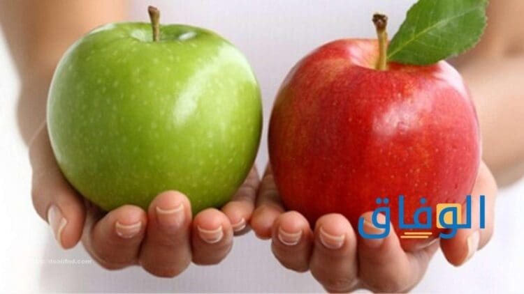 فوائد التفاح الأخضر | +15 فائدة لتناول التفاح أيهما افضل التفاح الأخضر أم الأحمر؟