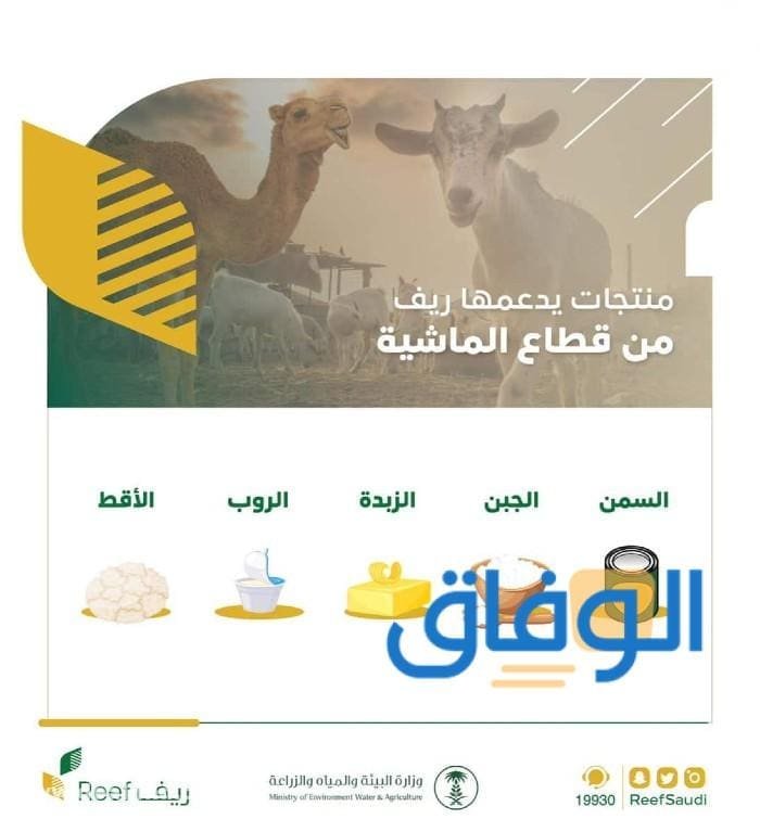 خطوات استعلام عن دعم ريف برقم الهوية 1445 طريقة التسجيل في برنامج ريف