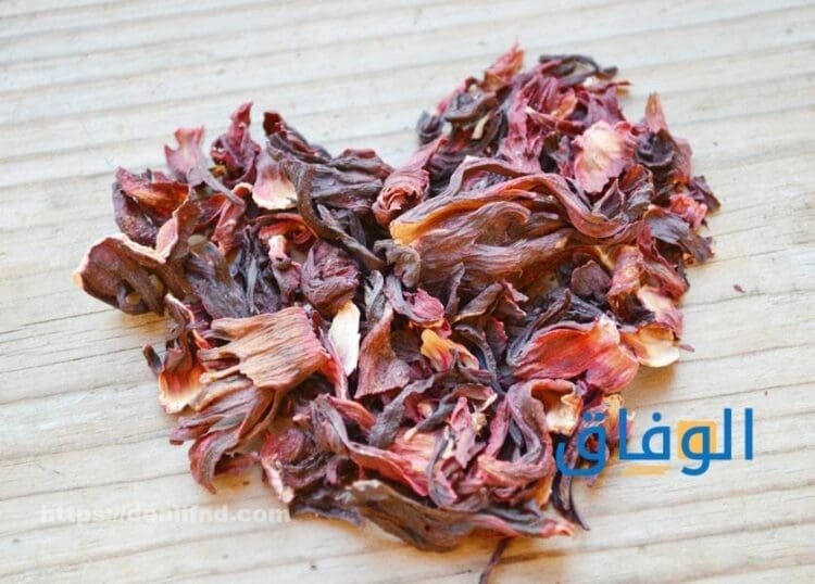 فوائد الكركديه للرجال أكثر من 10 فوائد مذهلة الكركديه يعالج سرعة القذف؟