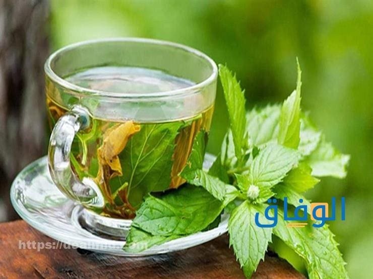 فوائد الشاي بالنعناع أهم +20 فائدة للصحة