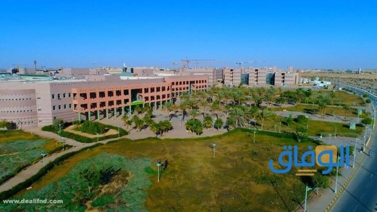 تخصصات جامعة الجوف