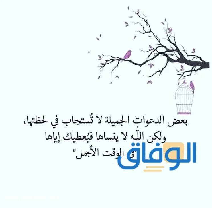 +100 ايجابيه عبارات تفاؤل | وأمل جديدة ومميزة 2024