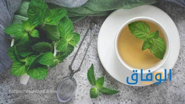 فوائد الشاي بالنعناع أهم +20 فائدة للصحة فوائد الشاي بالنعناع بعد الأكل