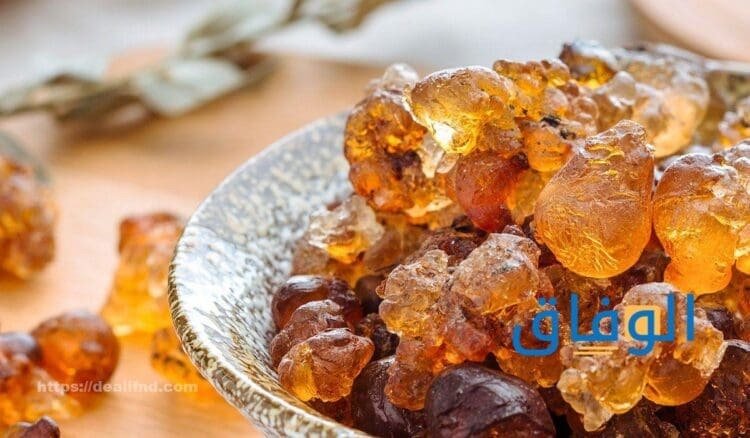 فوائد الصمغ العربي للنساء | أهم +10 فوائد واستخدامات فوائد الصمغ العربي للعظام