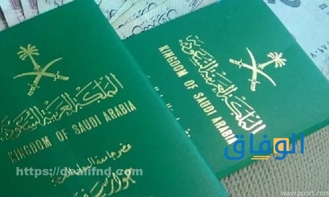 استعلام برقم الجواز | 06 خطوات للاستعلام