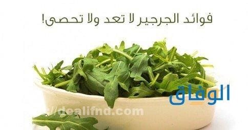 فوائد الجرجير للبشرة