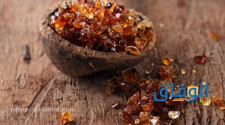 فوائد الصمغ العربي للنساء | أهم +10 فوائد واستخدامات فوائد الصمغ العربي
