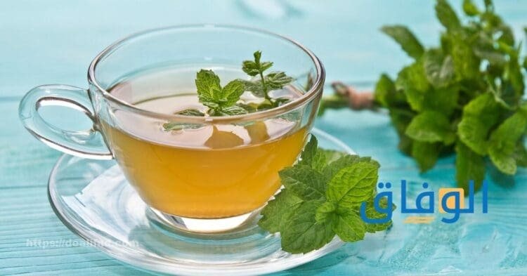 فوائد الشاي بالنعناع أهم +20 فائدة للصحة فوائد الشاي بالنعناع