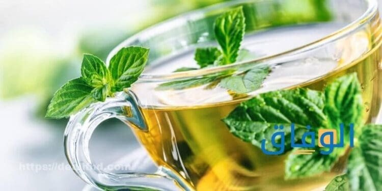 فوائد الشاي الأخضر بالنعناع