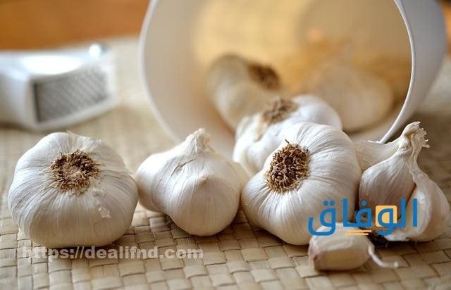 فوائد الثوم الذكر للرجال | أهم +30 فائدة صحية فوائد الثوم الذكر للرجال