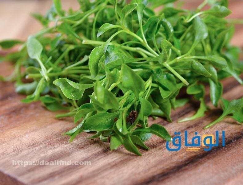 فوائد الجرجير للمتزوجين