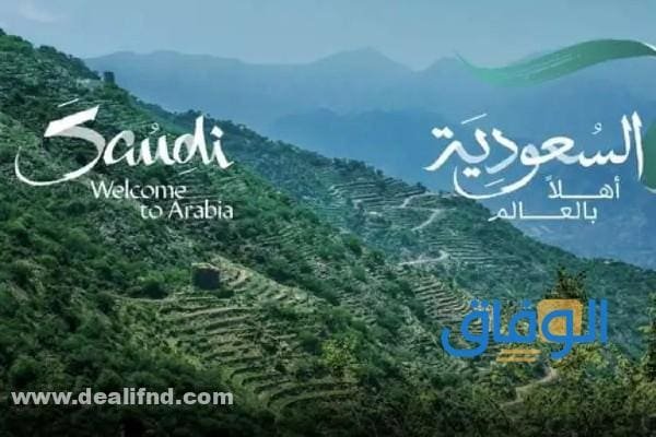 تكلفة (تاشيرة سياحية للسعودية) 1445 وشروطها