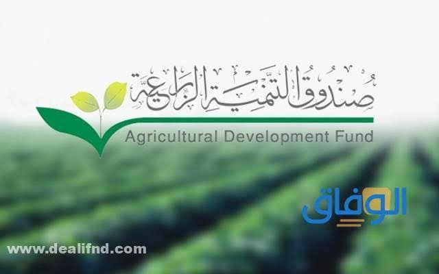 +07 شروط قروض البنك الزراعي للاغنام | وأنواع القروض 1445