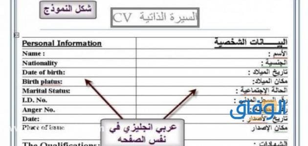 سيرة ذاتية جاهزة للتعبئة
