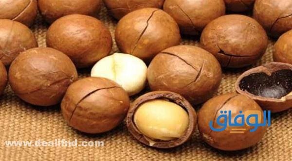 +05 من فوائد المكاديميا للشعر | وطريقة استخدامه