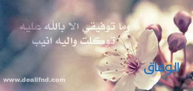 أجدد بوستات منوعة 2024 | عبارات ورسائل جديدة وجميلة رسائل مكتوبة