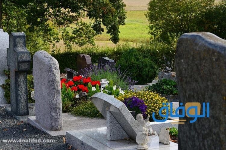 تفسير (رؤية القبر في المنام للمتزوجة) والعزباء والحامل رؤية القبر في المنام للمتزوجة
