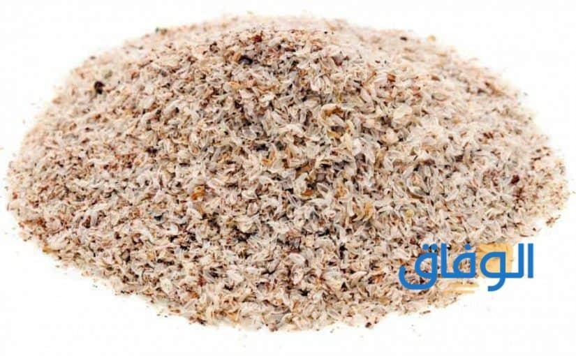 تجربتي مع عشبة الاسبغول للتنحيف