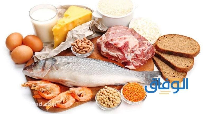 فوائد فيتامين b12