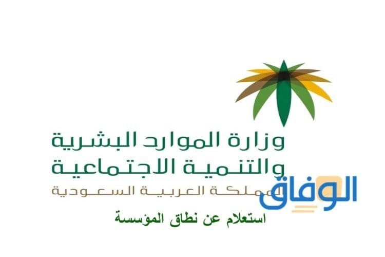 استعلام عن نطاق المؤسسة بإيجاز